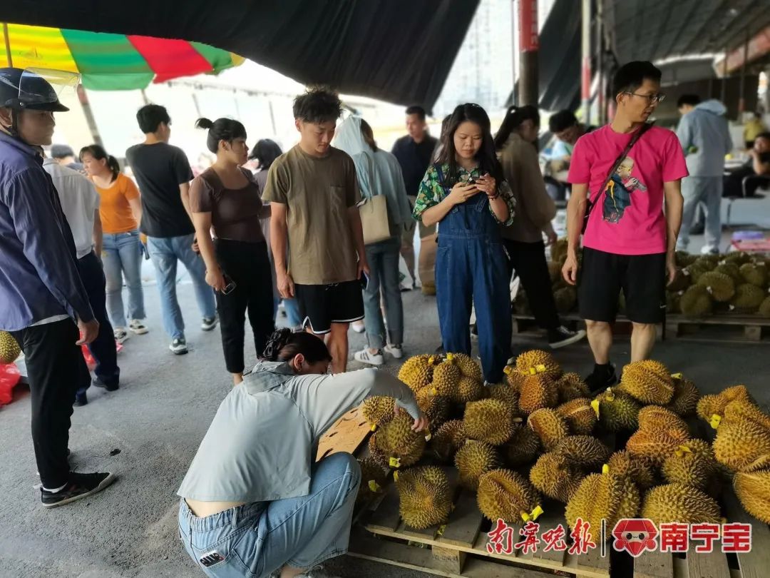 市民在南宁海吉星水果批发市场选购新鲜榴莲 记者 覃锦华 摄据悉,凭祥
