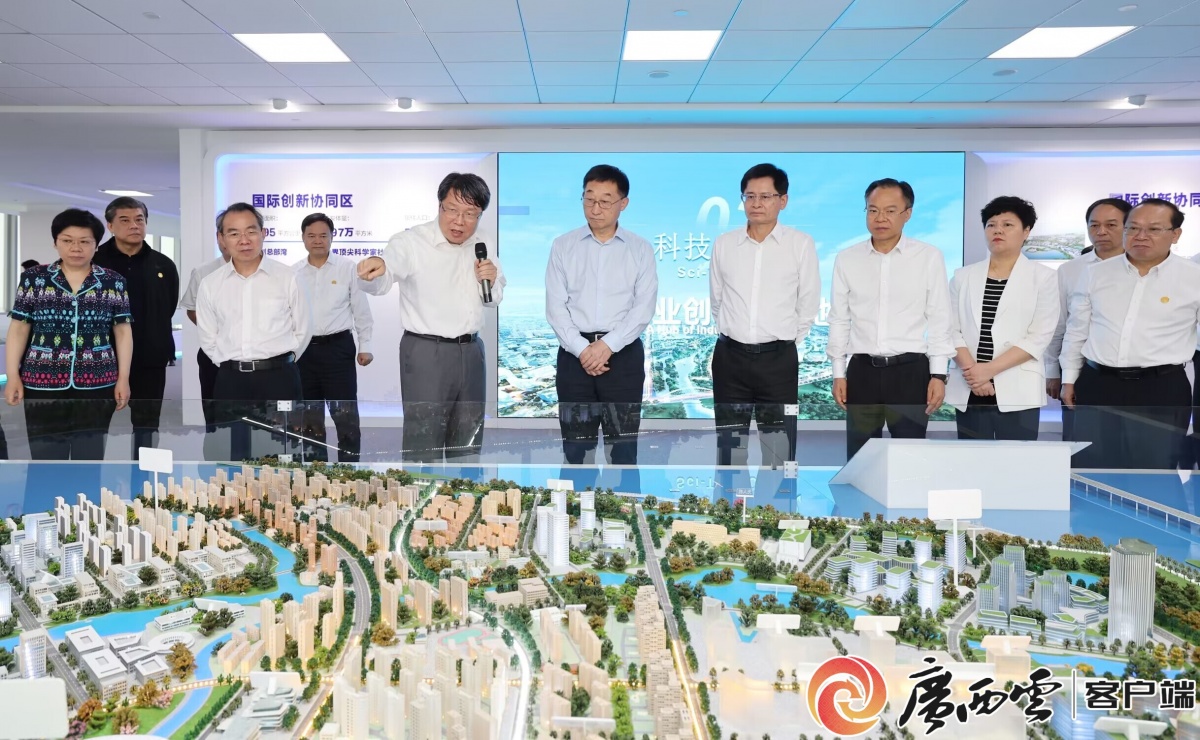 6月17日,刘宁,蓝天立率广西党政代表团赴上海市学习交流.