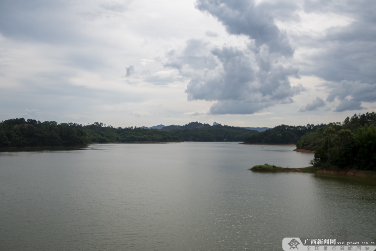 平南保护湿地就是保护群众的饮用水源