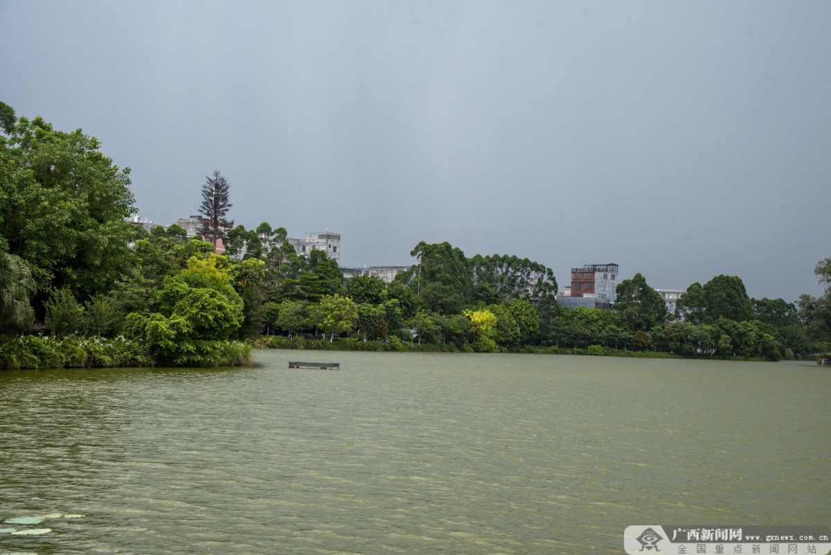 澳门新网站贵港：与民共享湿地保护成果(图2)