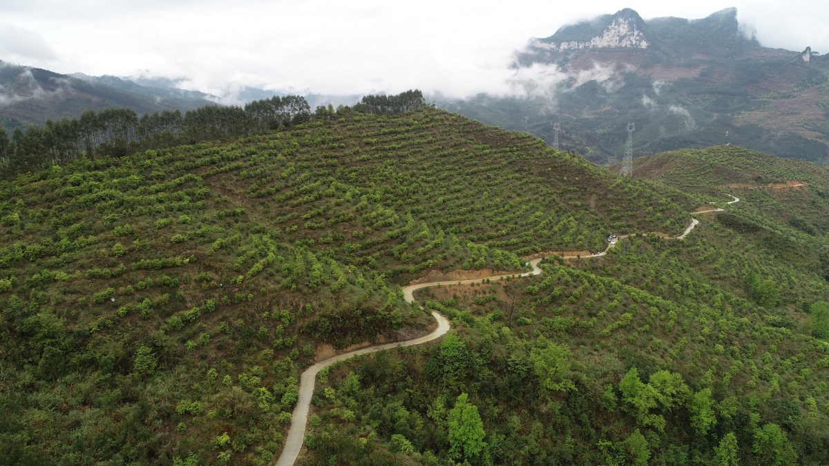 走进环江毛南族自治县"瑰丽毛南"田园综合体|手机广西网