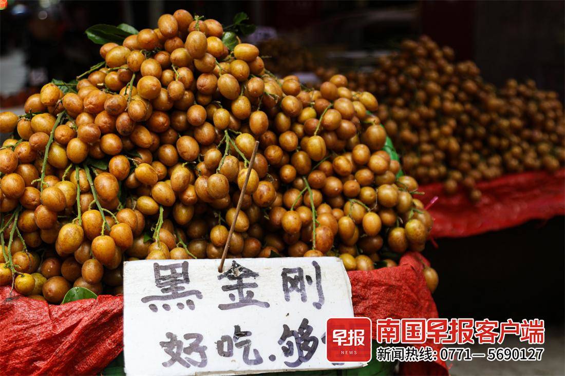 每公斤最高30元！这种小众水果陆续上市，多个品种任你挑选-广西新闻网
