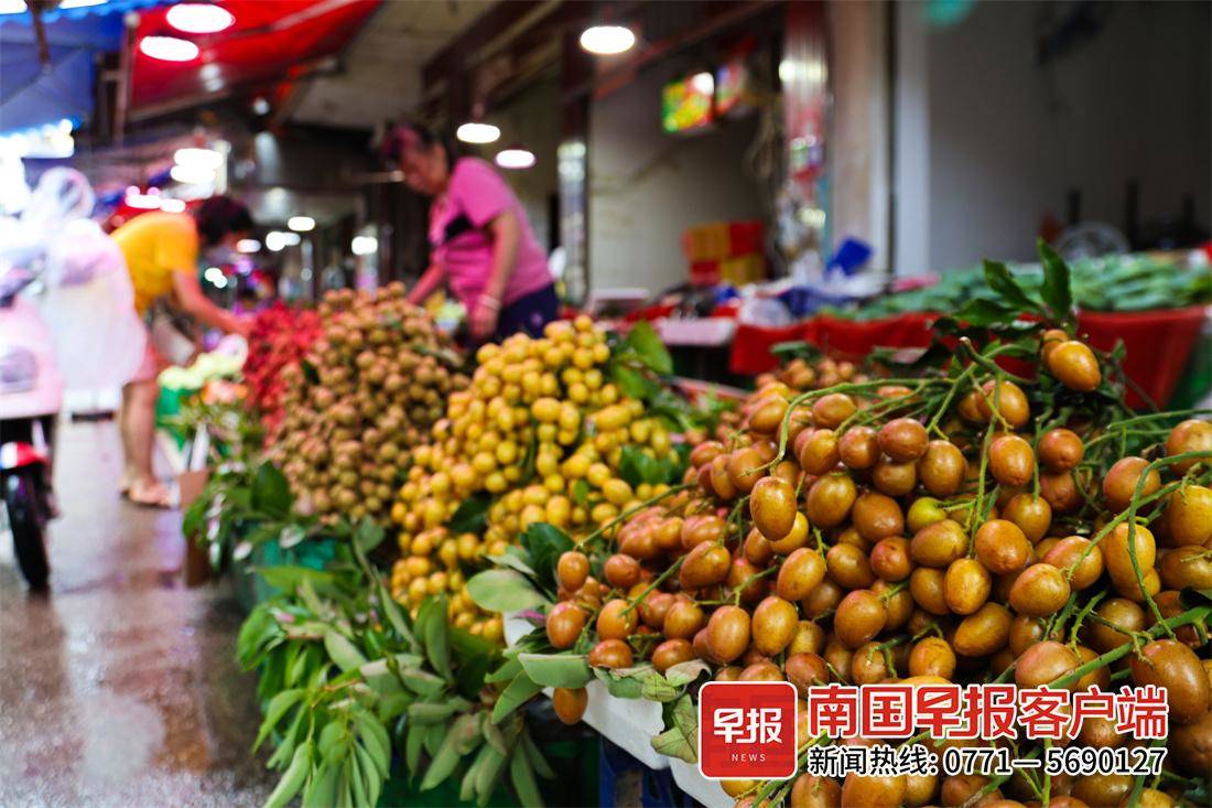 每公斤最高30元！这种小众水果陆续上市，多个品种任你挑选-广西新闻网