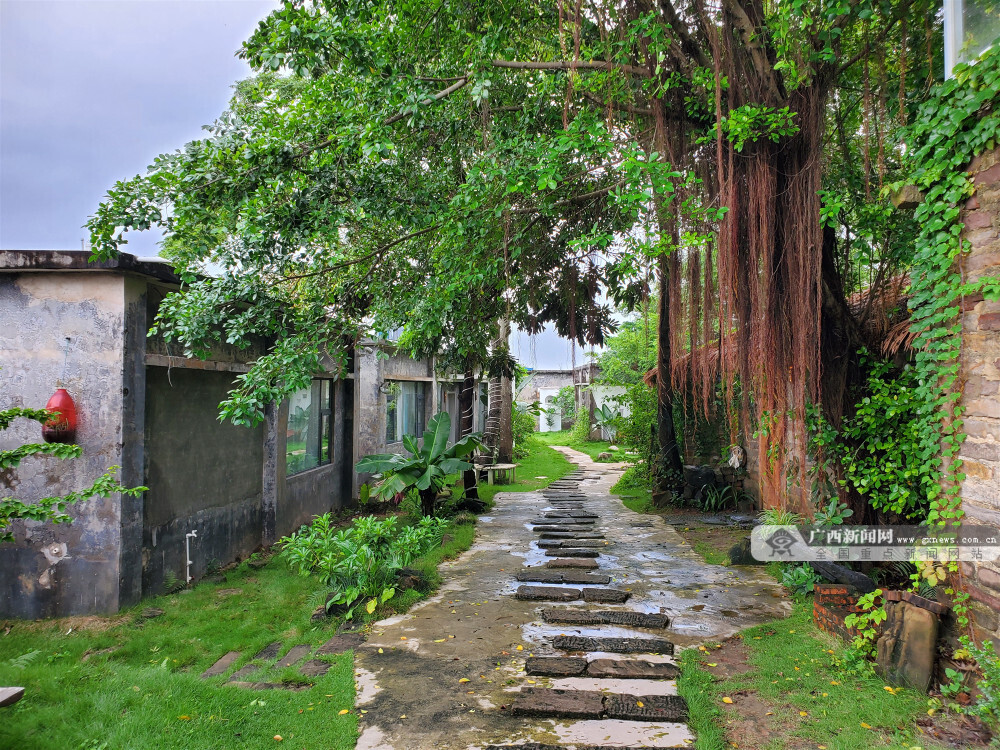 艺术点亮乡村 防城港"涂海艺术村"成网红打卡点-广西新闻图集