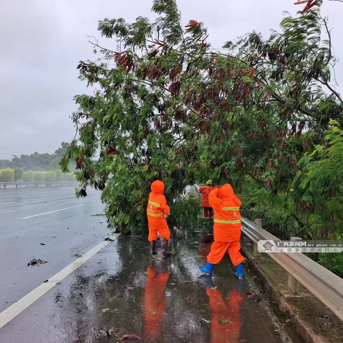 北投养护科技集团组织公路抢险队伍在暴风雨中对倒伏路树和占道土方进行清理。