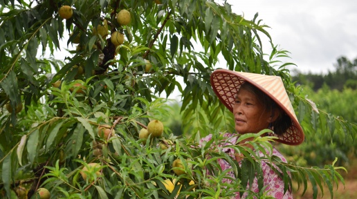 ��ƽ��ӥ����һ���оͶ���һ��