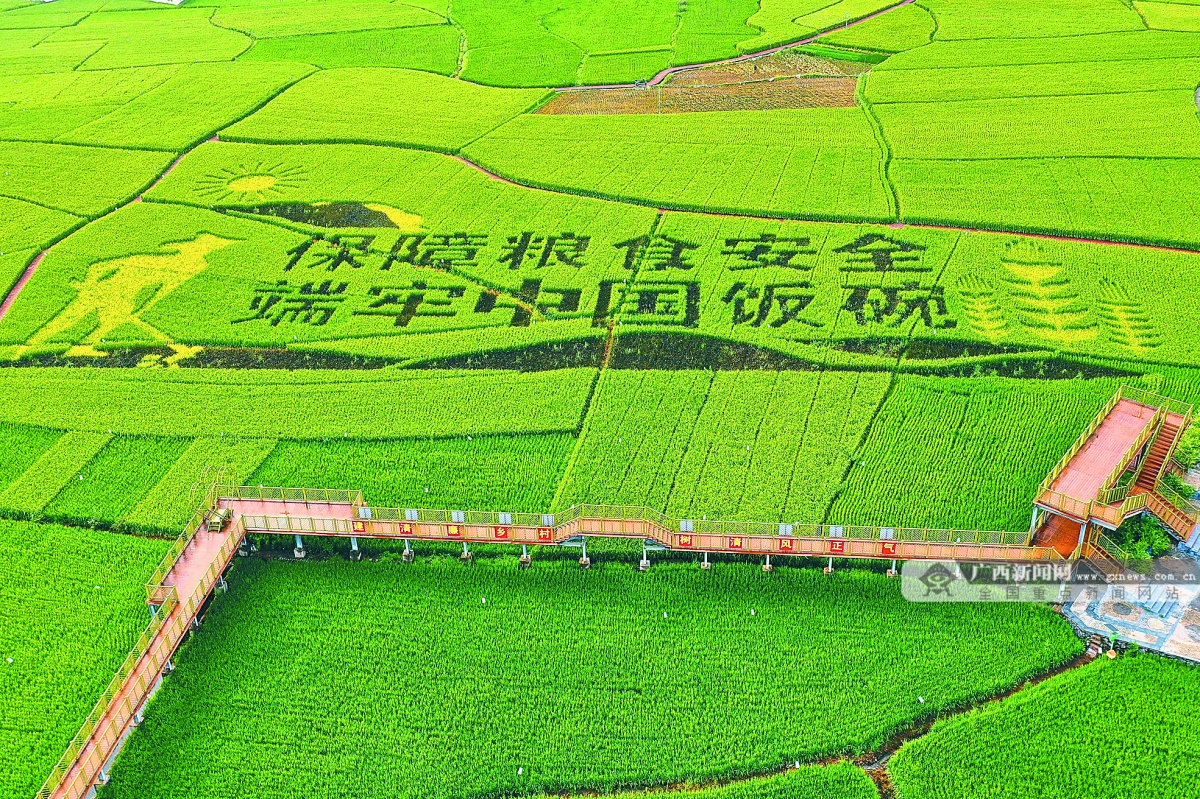 临川区傅清图片