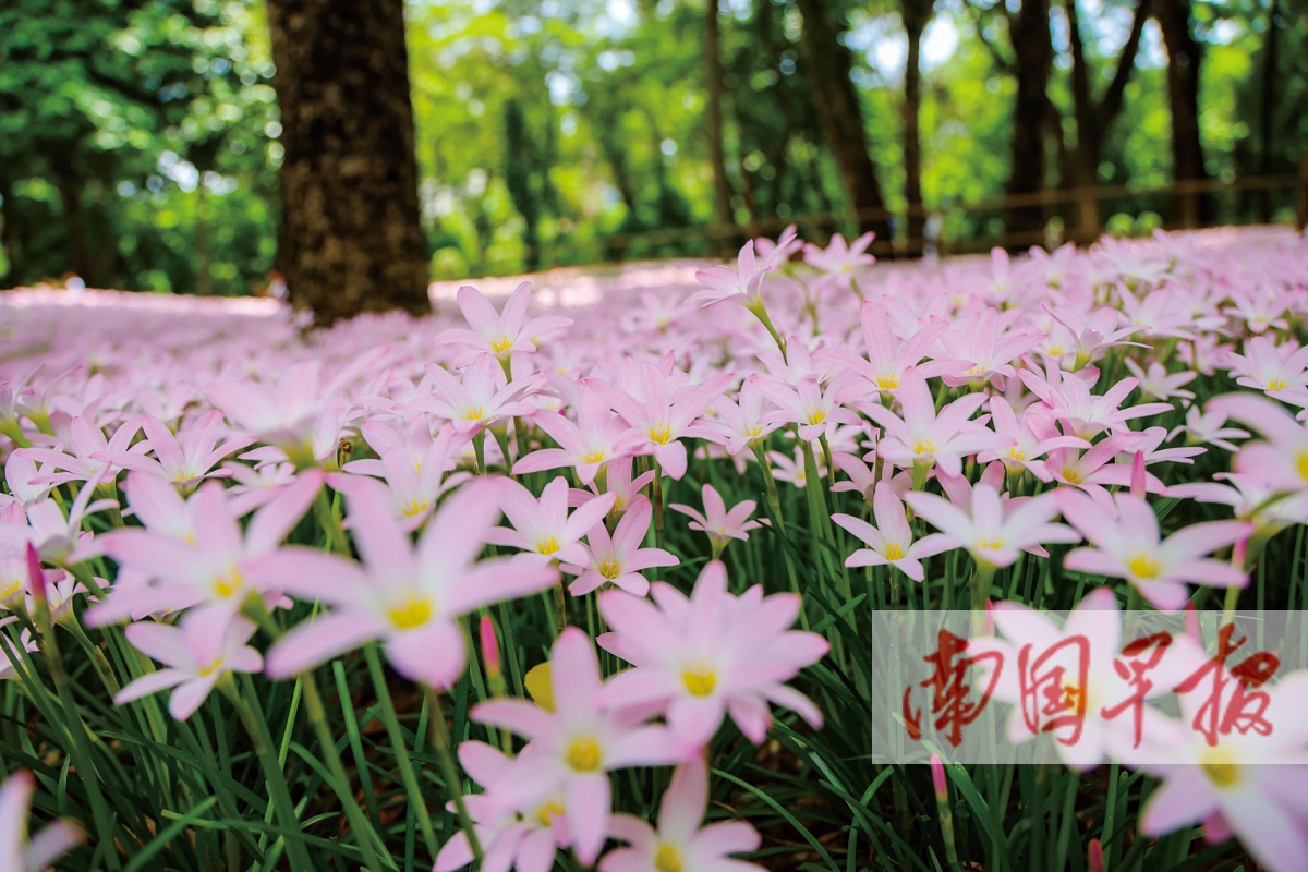 7月22日焦点图