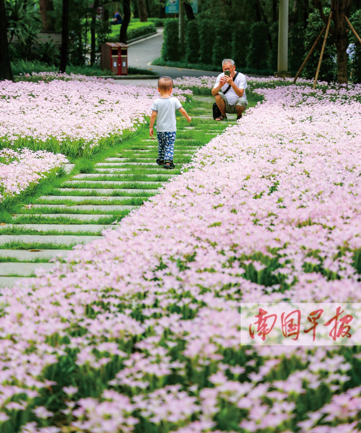 7月22日焦点图