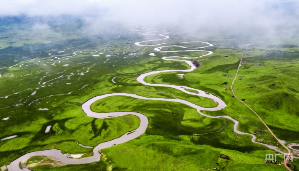 青海泽库:风吹泽曲湿地 高原绿意葱茏|手机广西网