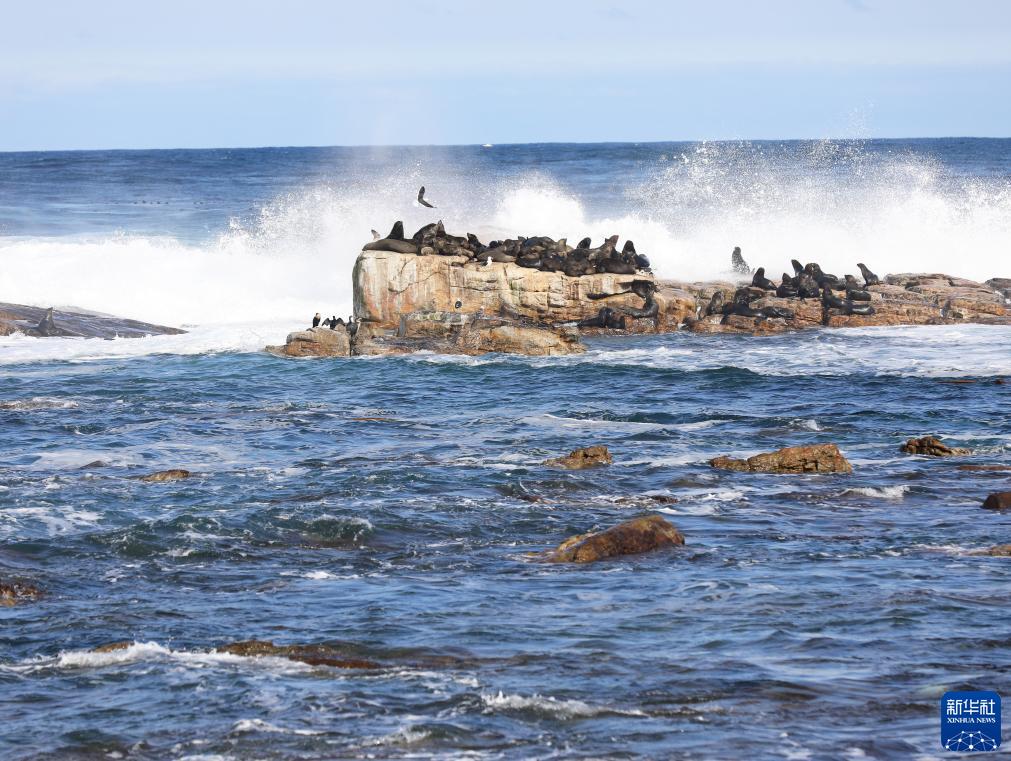 南非好望角景色-广西新闻网