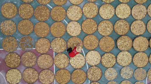 ��˼��С�����˶�������ˡ���ɫ���桱