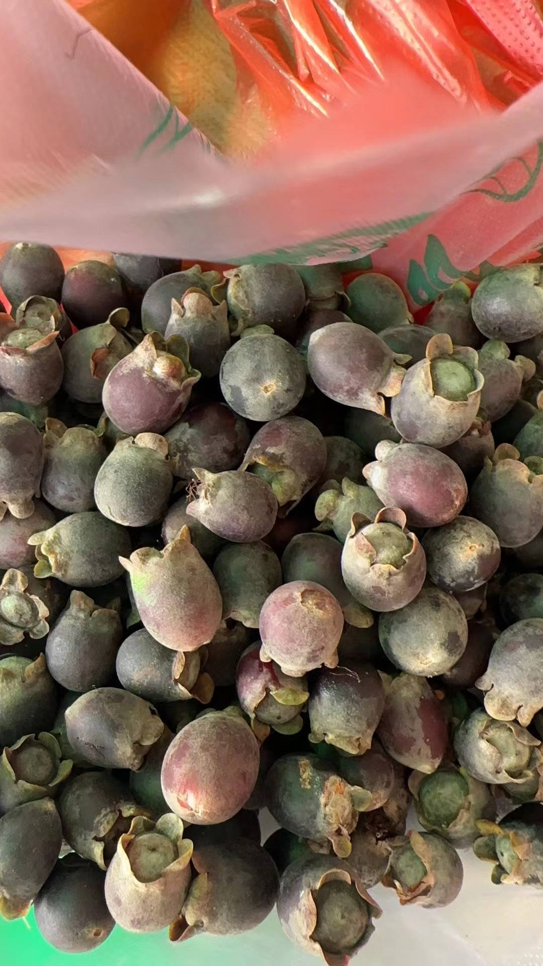 稔子成熟了,你有多久没吃过它了?-广西新闻网