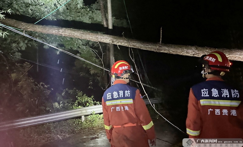 天博电竞APP平南：暴雨引发山体滑坡道路阻断 消防员“摸黑”排险恢复通行(图1)