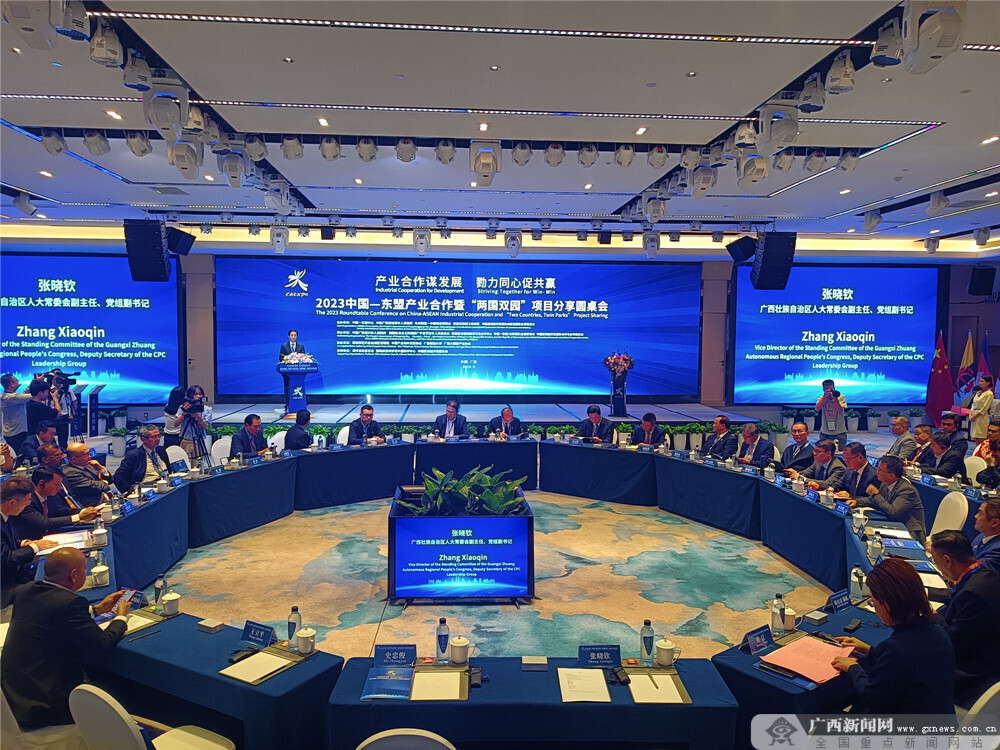 2023中国—东盟产业合作暨“两国双园”项目分享圆桌会在南宁举行