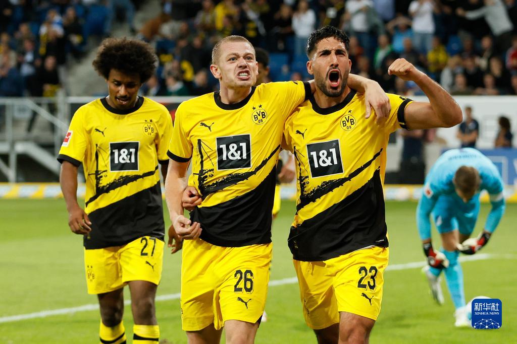 德甲多特蒙德胜霍芬海姆