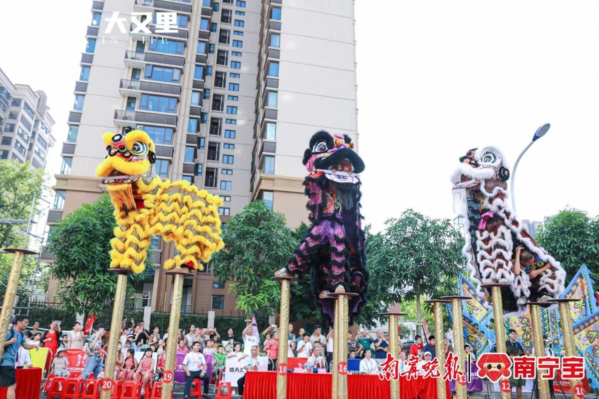 南宁举办首届狮王争霸赛-广西新闻网