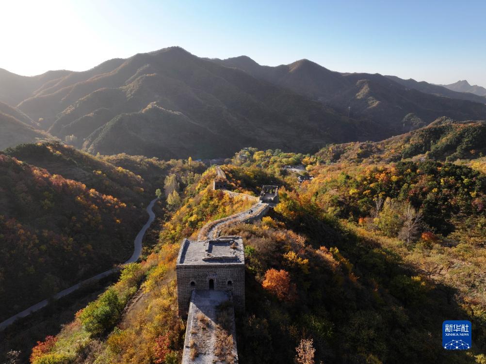 新华社发(王爱军摄)