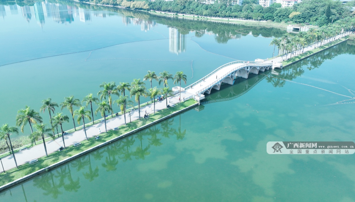 相约南宁,享受春天的第一场citywalk-广西新闻网