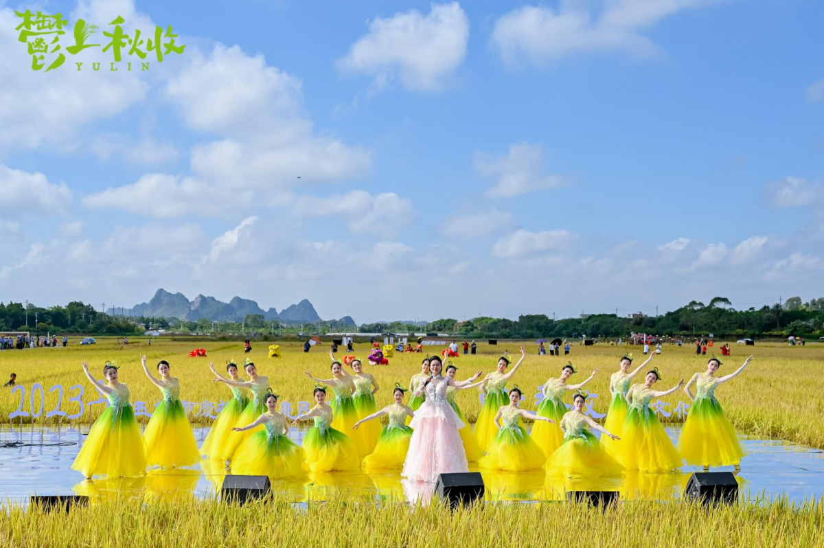 玉林稻田文化节10日开幕带你走进五彩田园