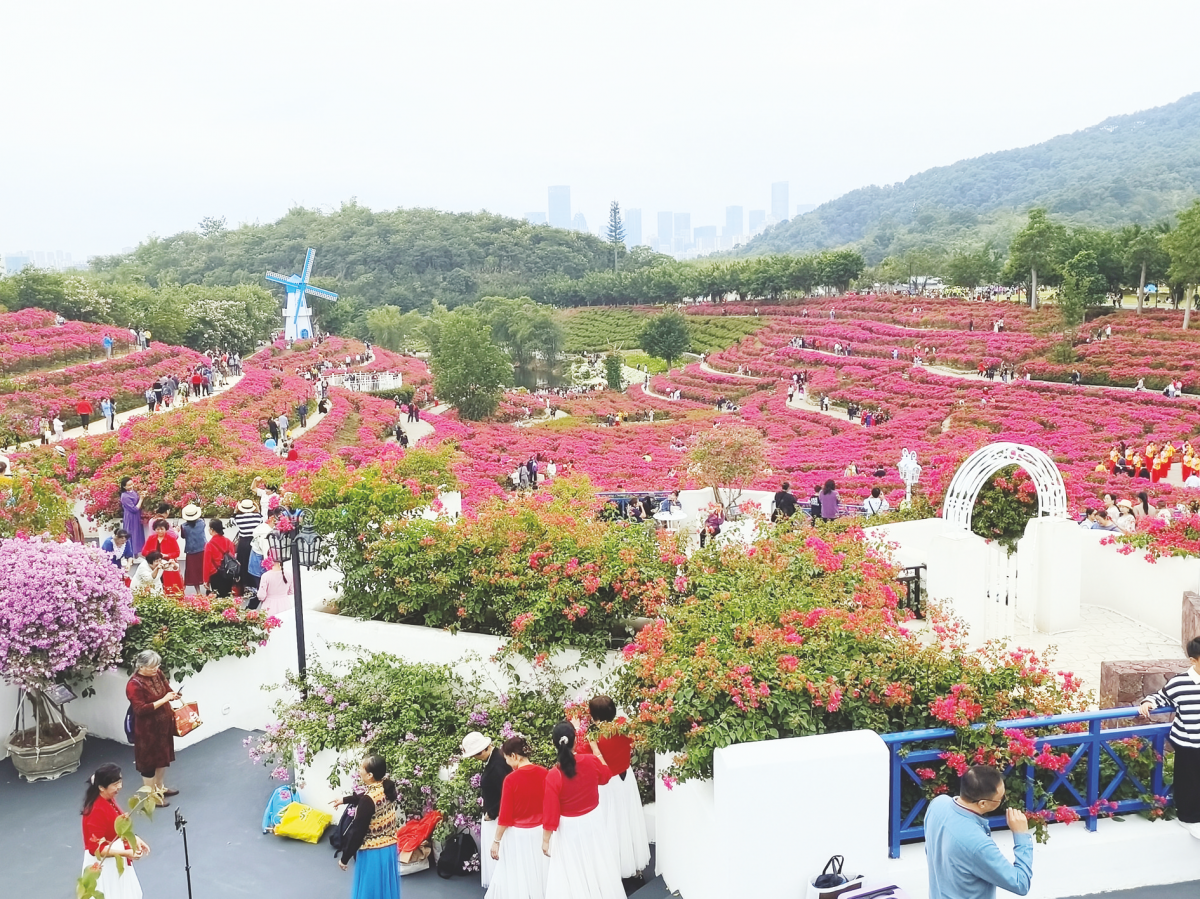 减门票,惠住宿,省路费,享文化……广西派发文旅优惠 邀请游客畅游八桂