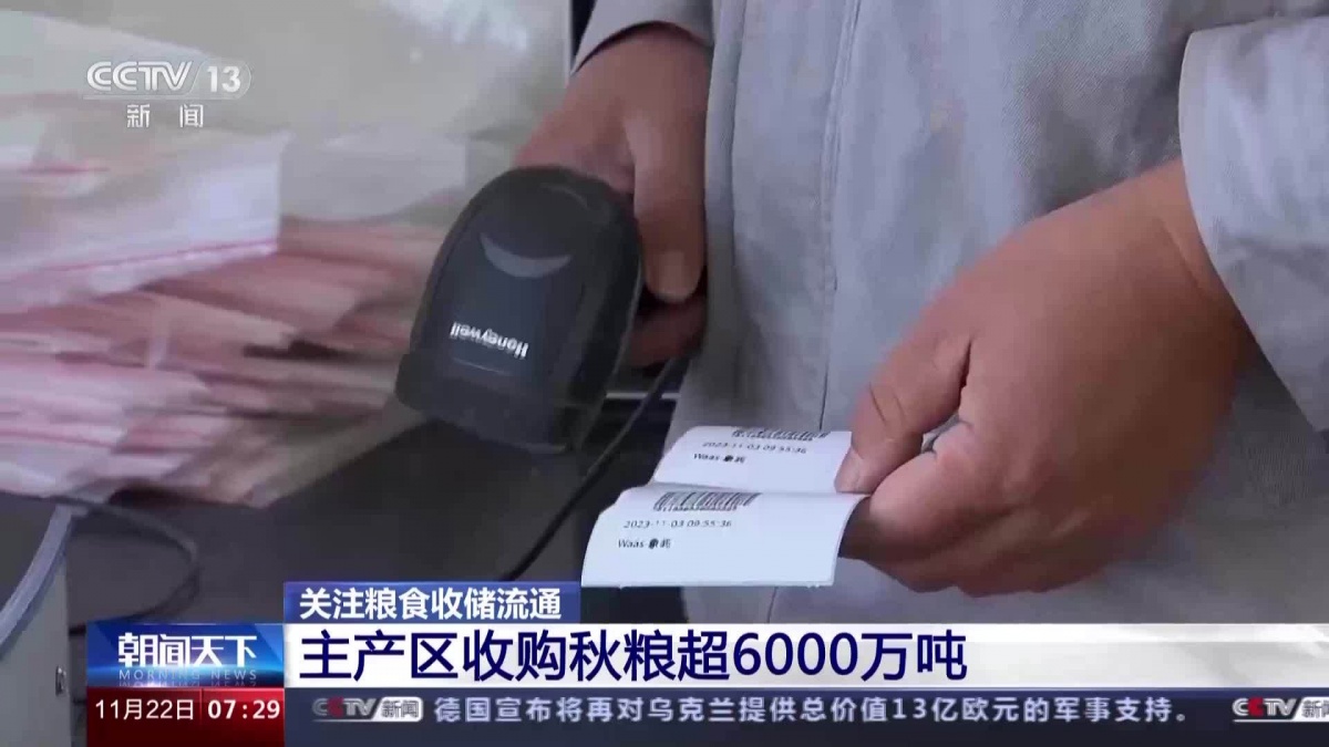 超6000万吨!全国秋粮收购有序展开