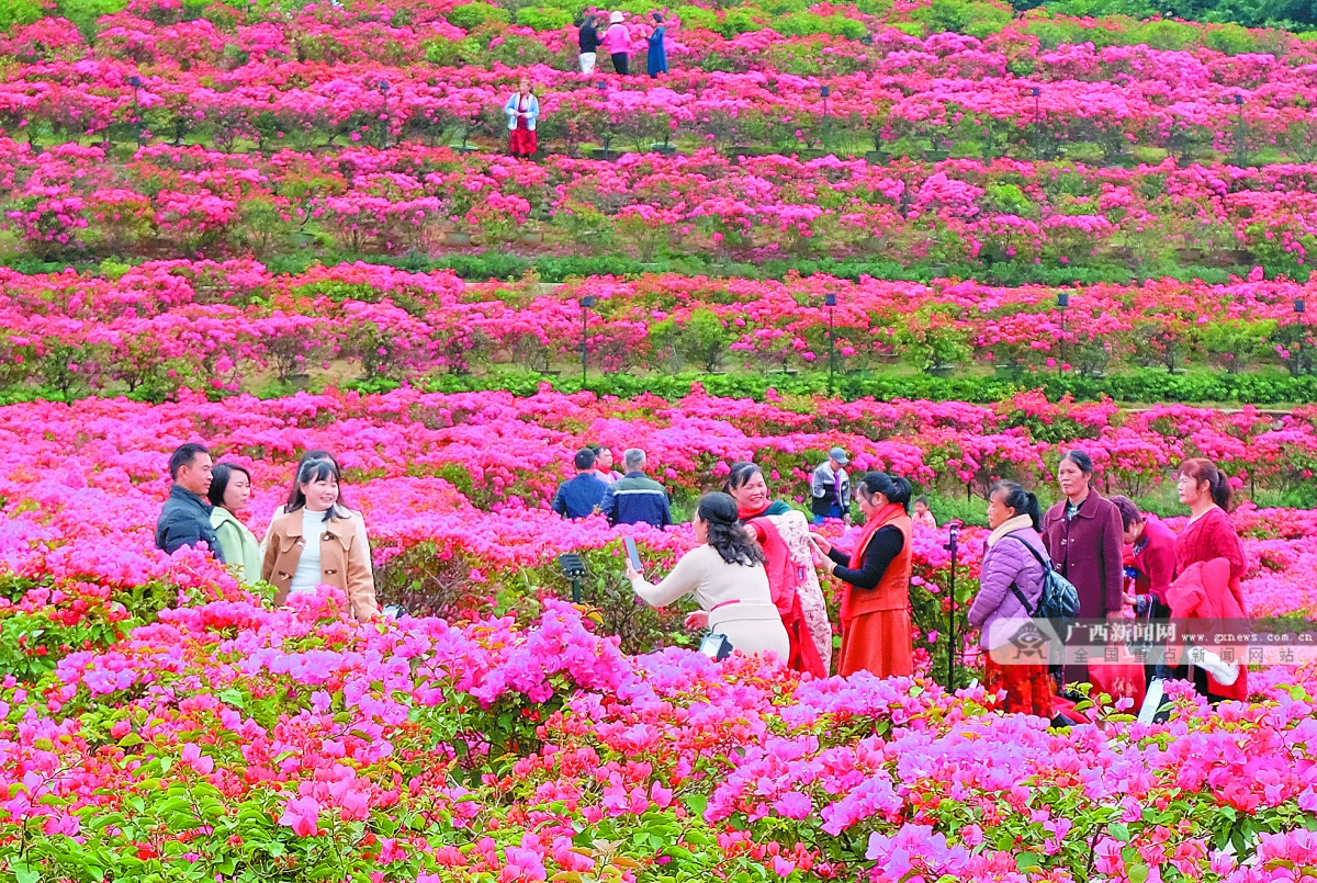 11��22�ս���ͼ