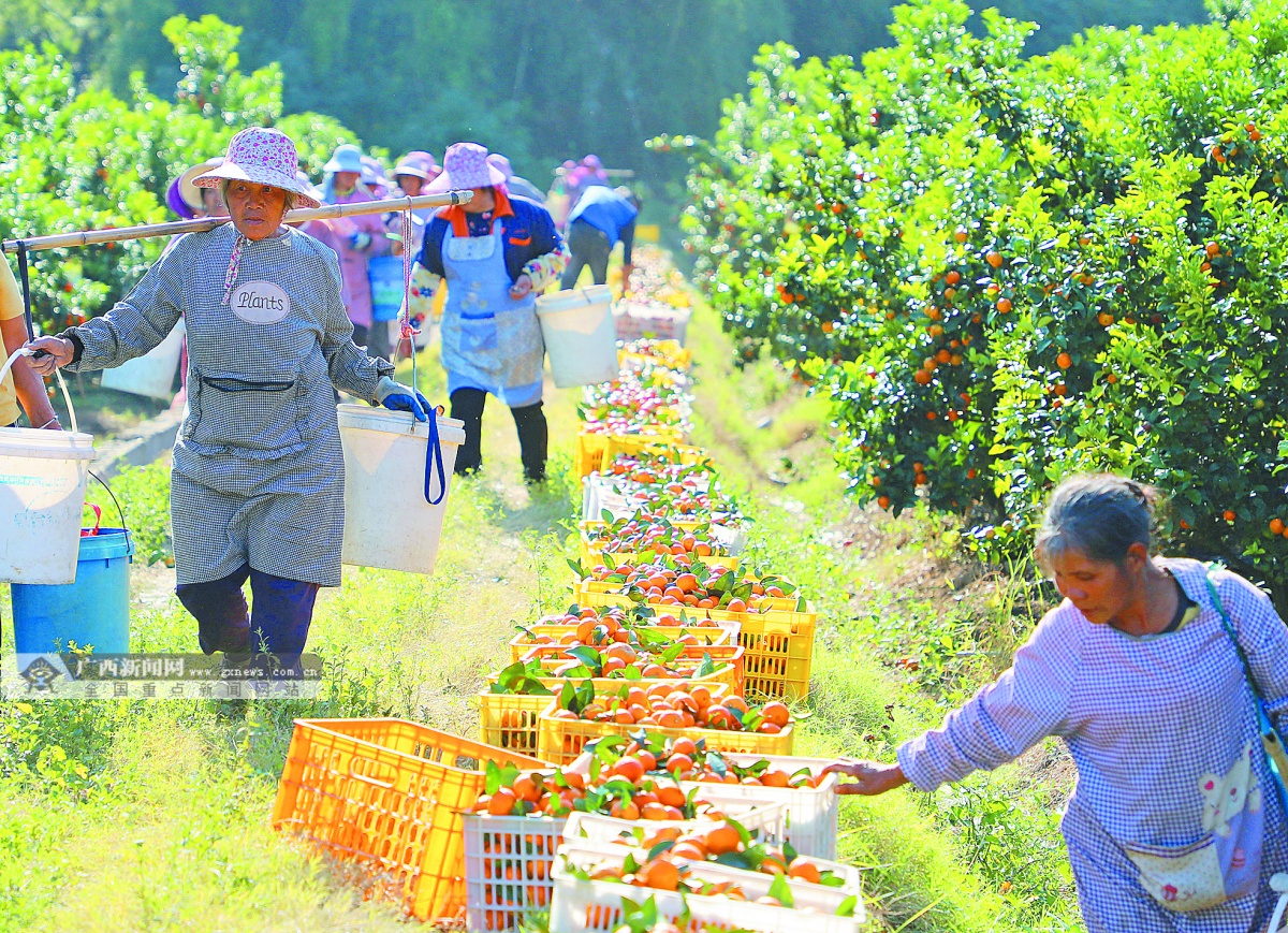 11��22�ս���ͼ