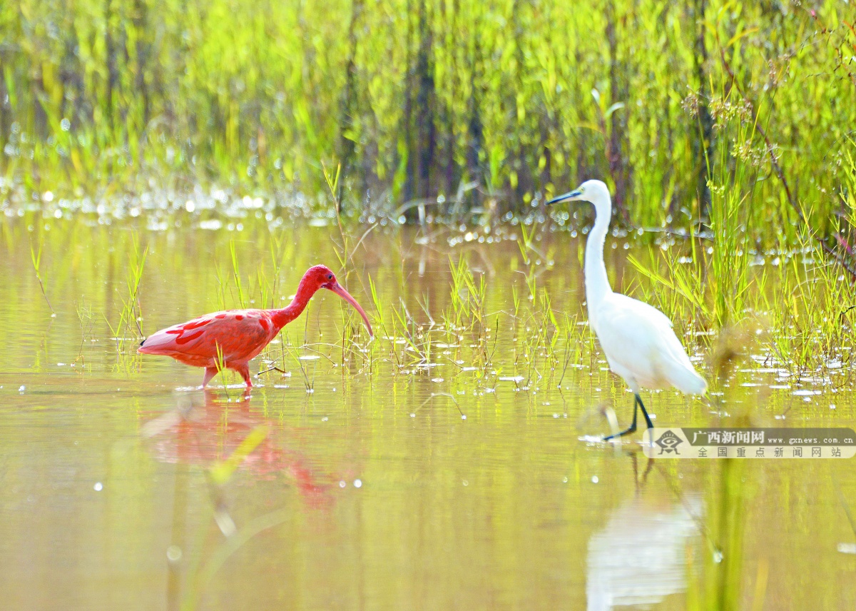 11��25�ս���ͼ