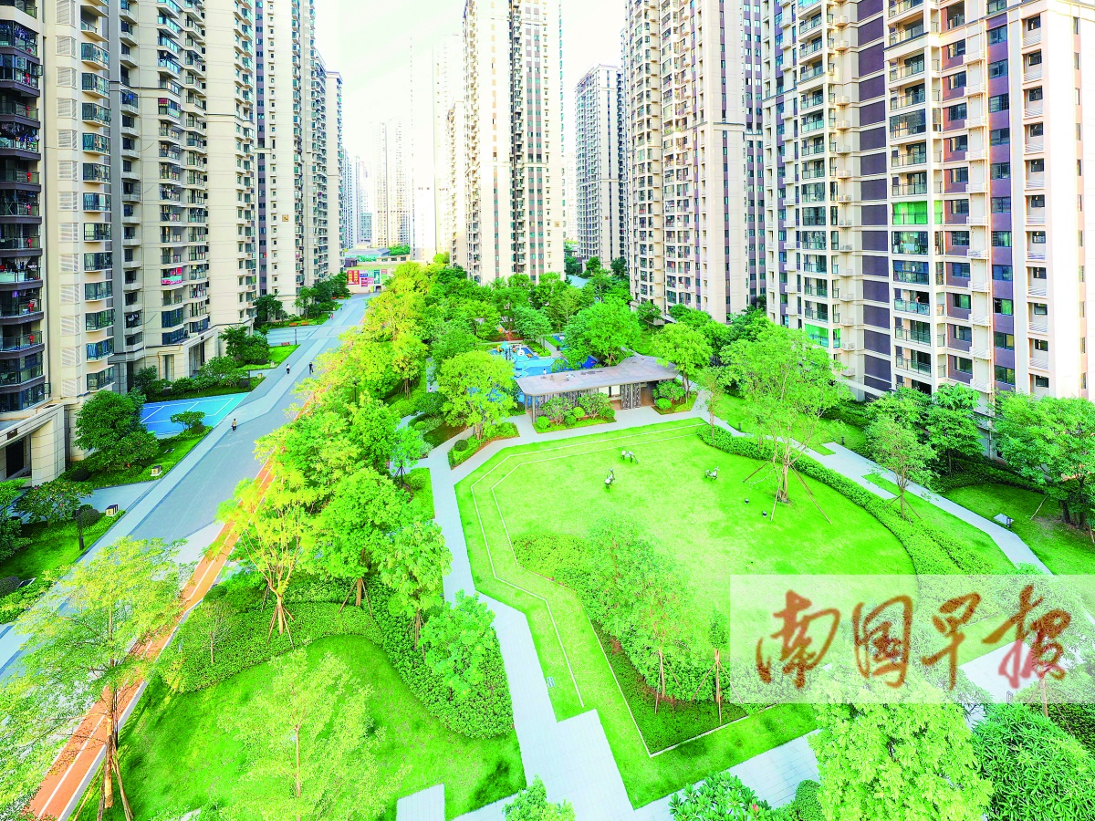 11��25�ս���ͼ