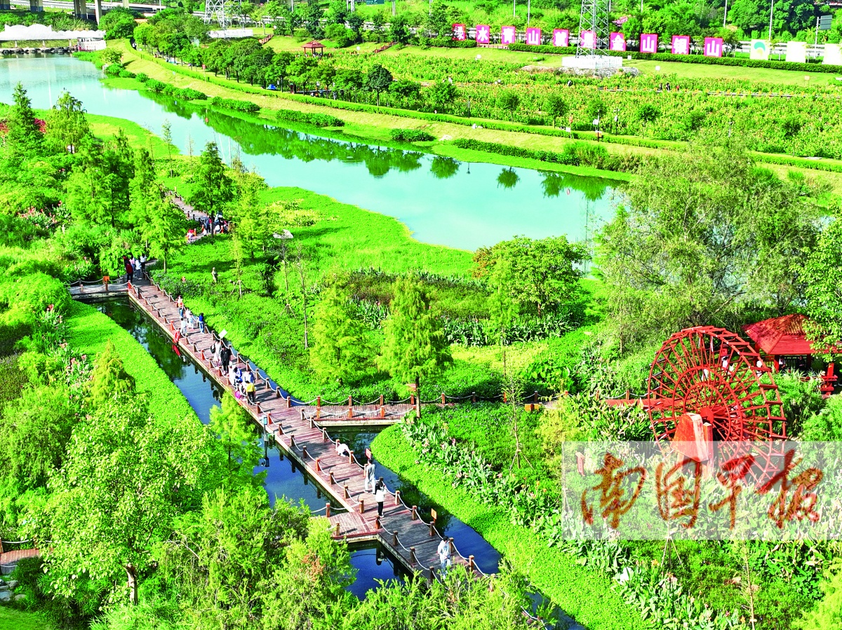 11��25�ս���ͼ