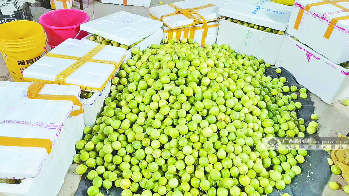 11��25�ս���ͼ