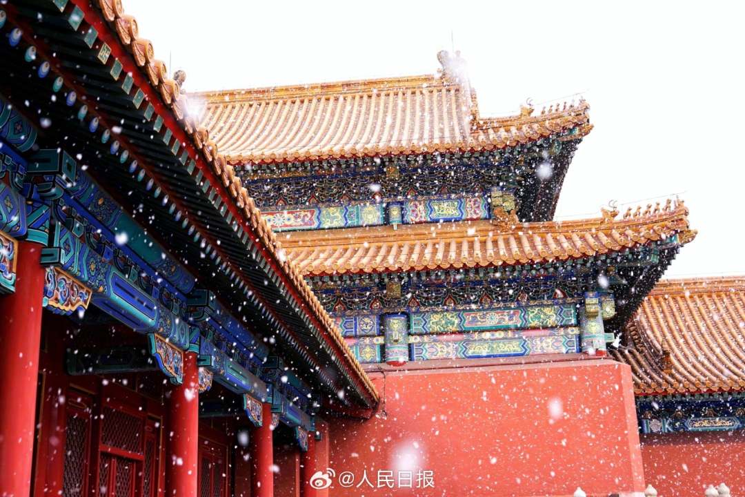 白雪红墙故宫雪景再上新