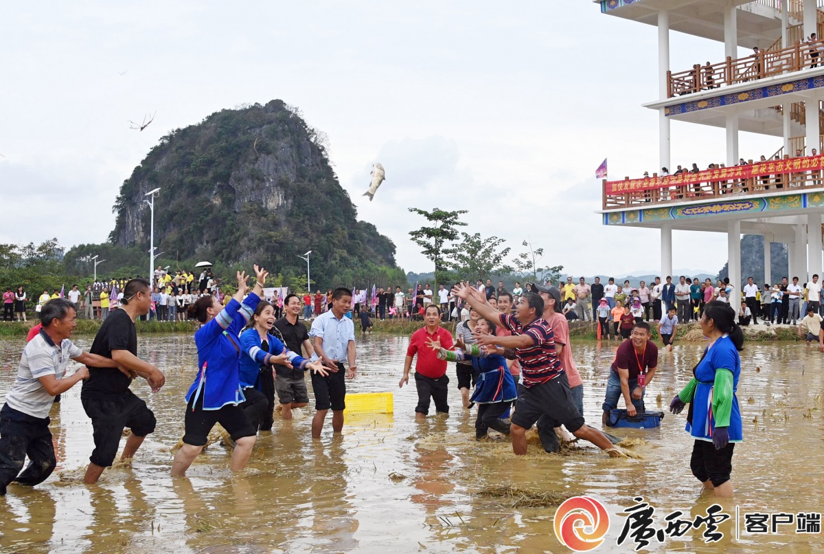 攜夢啟程奔赴山海2023年度廣西日報新聞圖片集錦