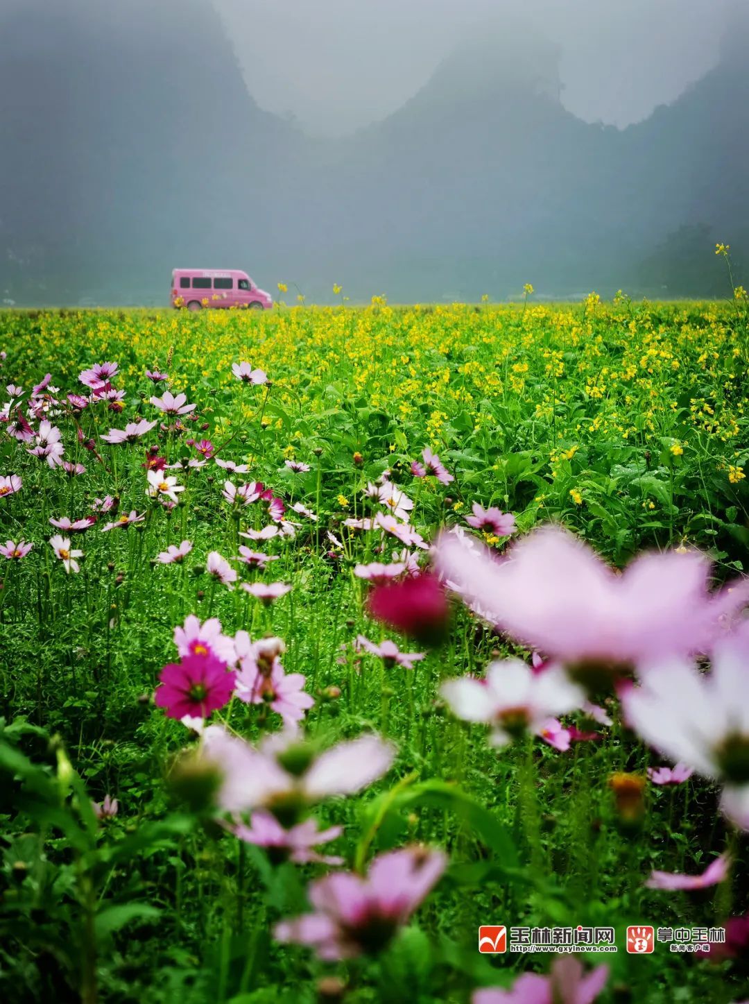 1��16�ս���ͼ