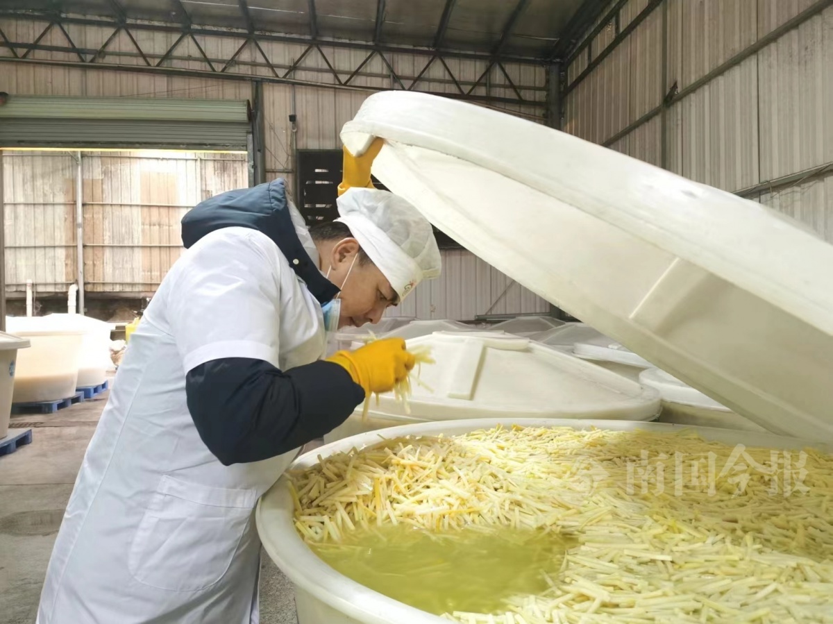 酸笋闻臭师,螺蛳粉灵魂的"守护人"|手机广西网