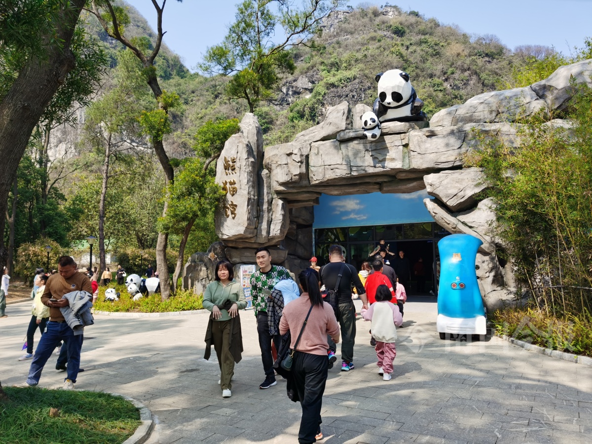 龙年春节,柳州市民纷纷打卡动物园