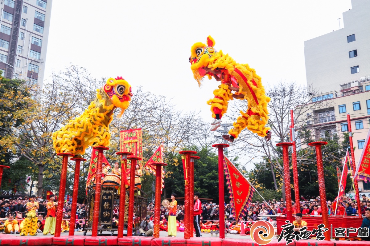 “二月二”龙抬头广西各地活动精彩纷呈(图1)