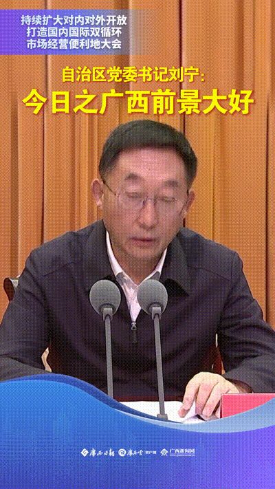 视频|自治区党委书记刘宁:今日之广西前景大好-广西新闻网