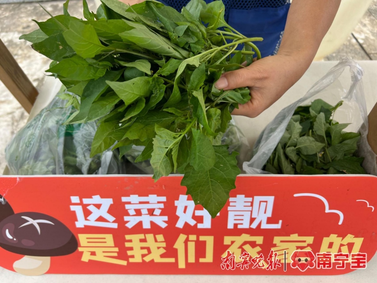 bandao.com春节假期逐渐圆润？节后健康饮食运动指南来啦！(图5)