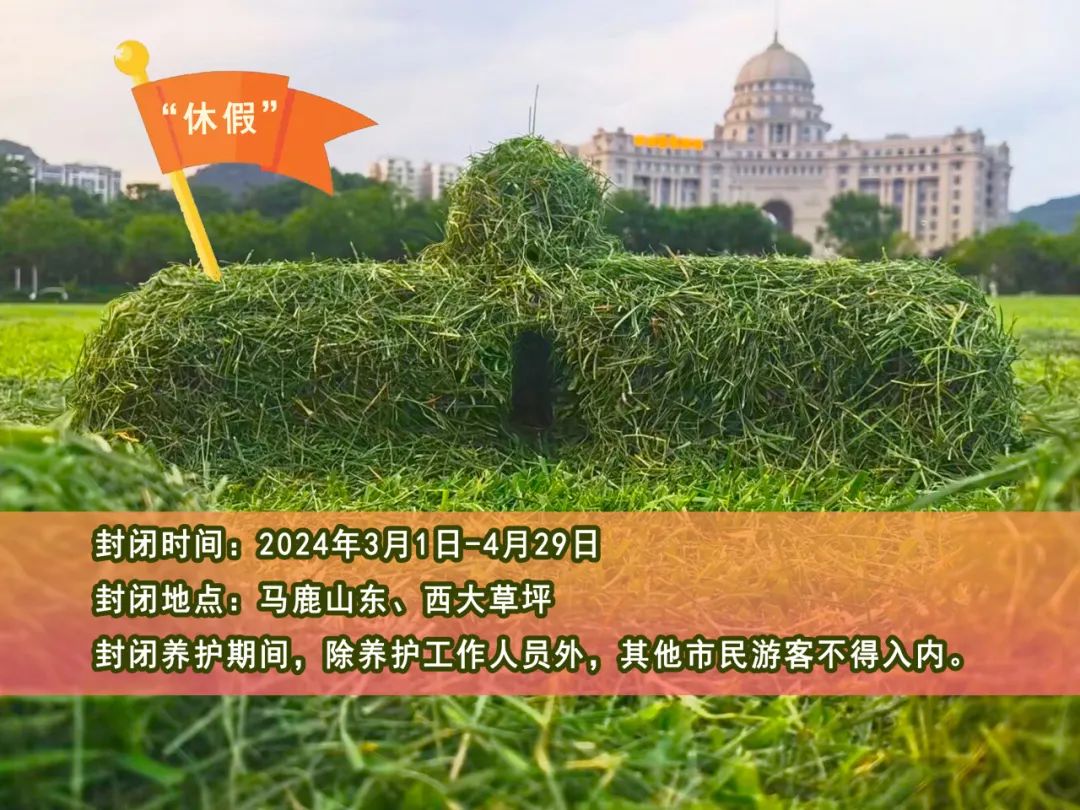 广西新闻网>首页栏目>滚动新闻>正文1080_810