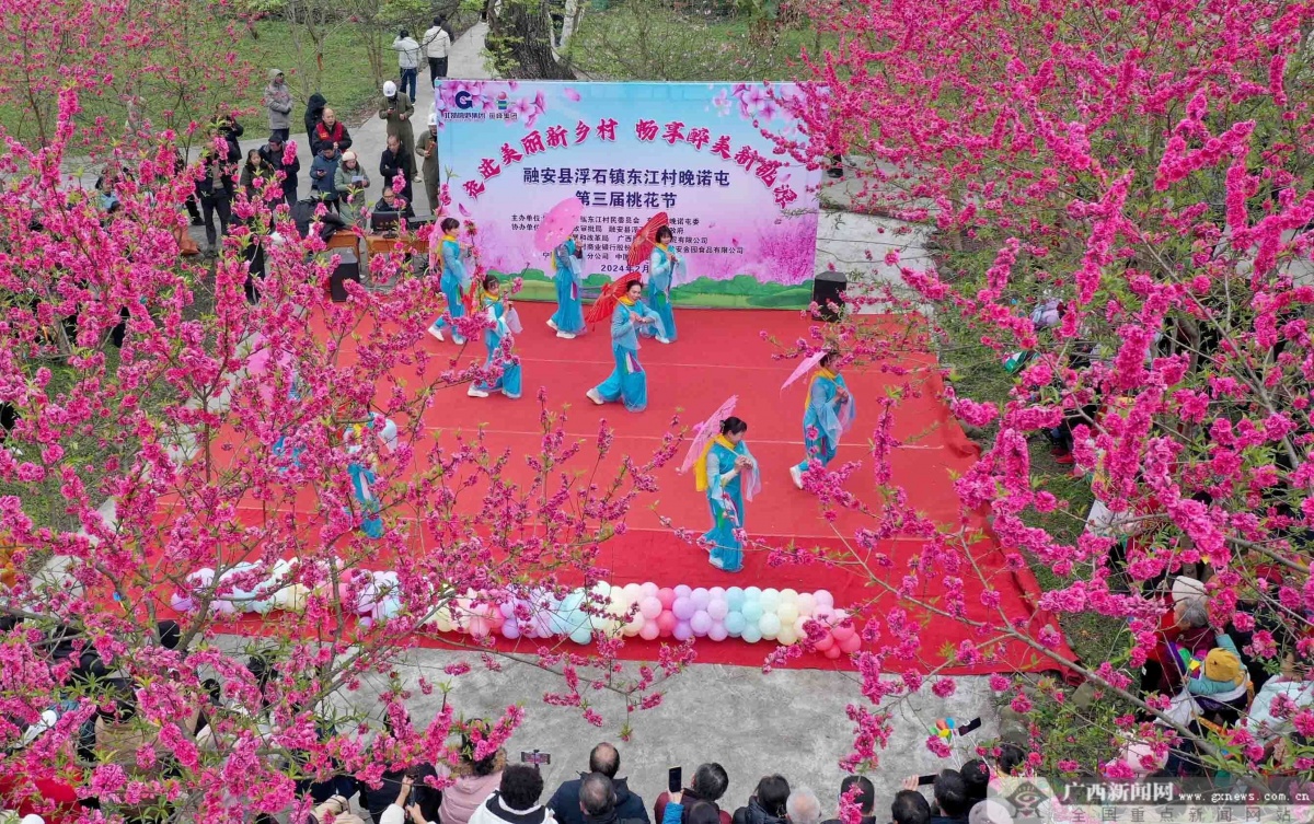 畅享醉美新桃源"2024年东江村晚诺屯第三届桃花节活动,吸引周边县市