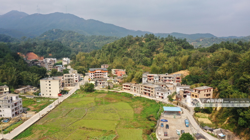 北流:可复制的"石榴经验",绘就乡村振兴新图景-广西新闻网
