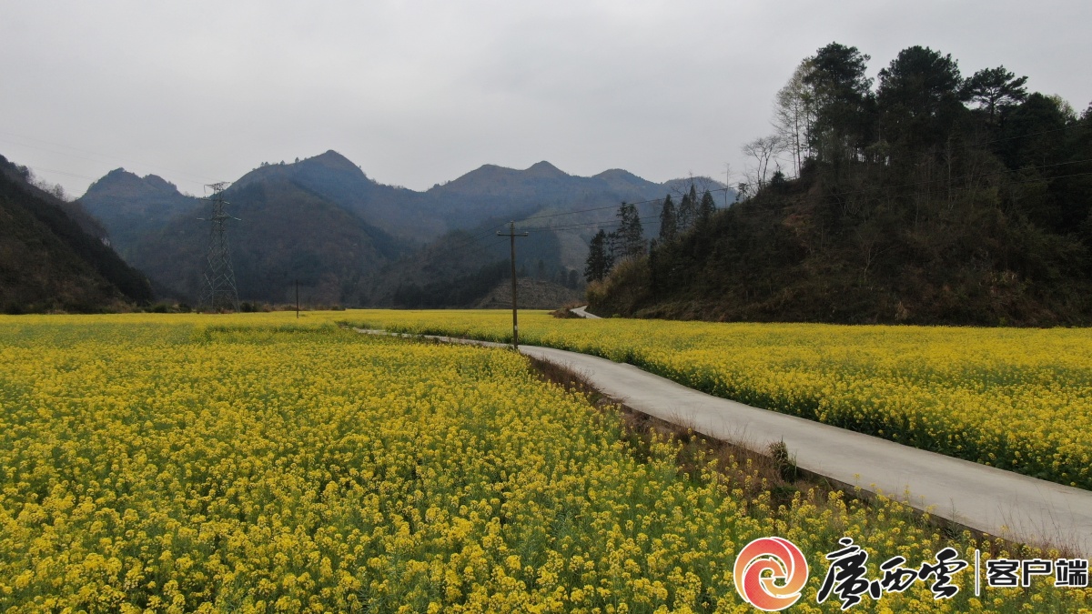 南丹县风景图片