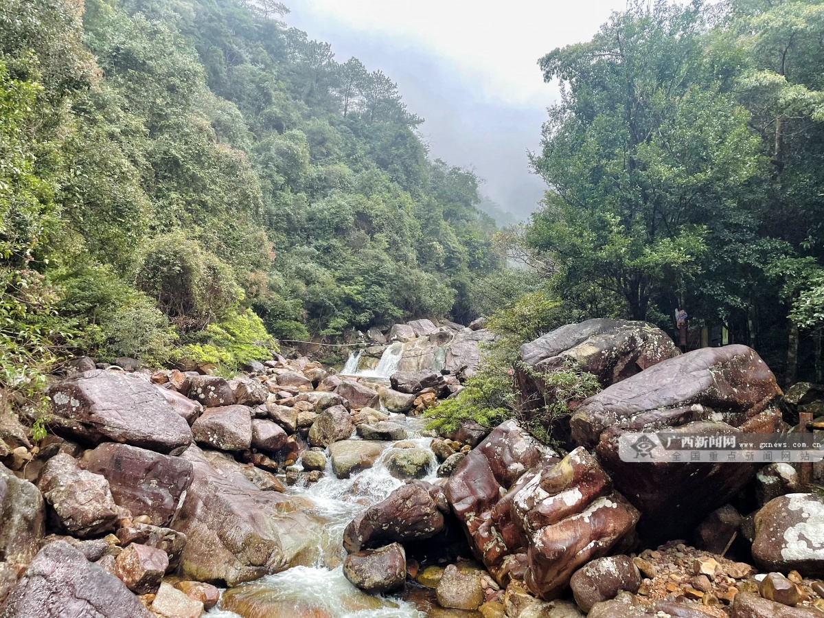 上思县景点图片