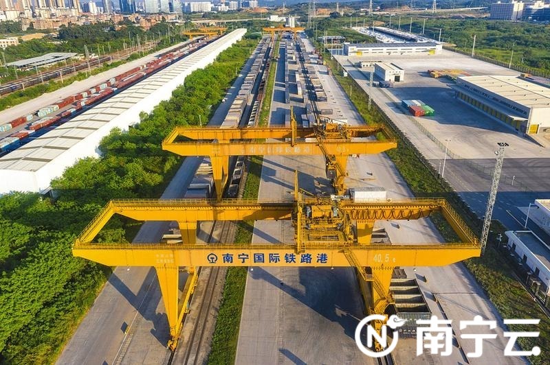 广西新闻网>广西频道>南宁频道>特别推荐>正文800_532