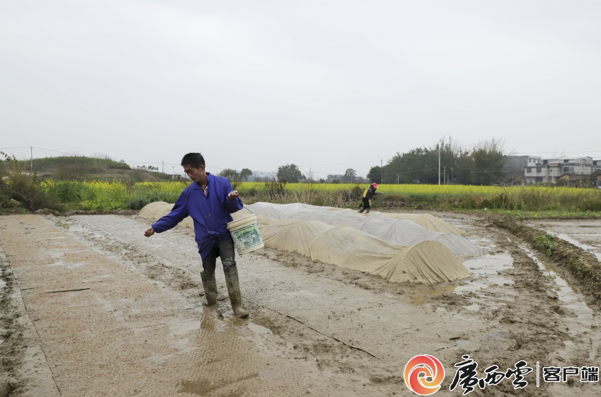 早稻本人照片图片