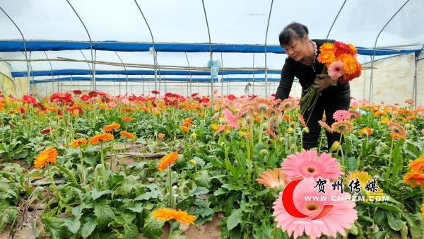 花种植基地有哪些 f62341ae39203cb0fa80f023af0ba5ed.jpg