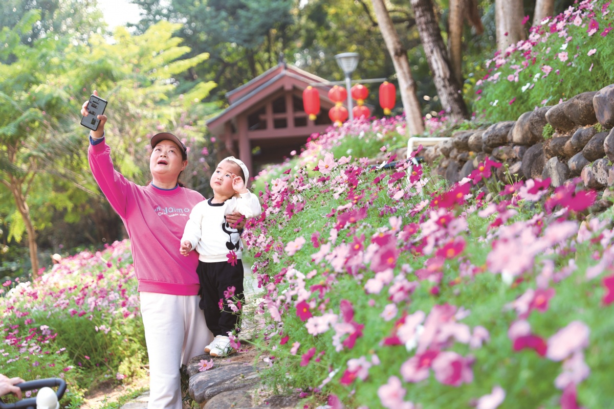 2024年罗城县人口_2023年普洱市常住人口主要数据公报