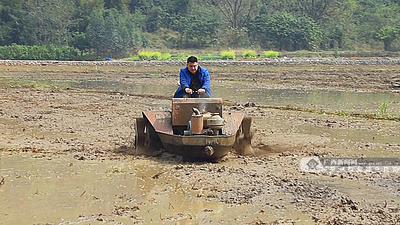 机耕船在水田里打田.